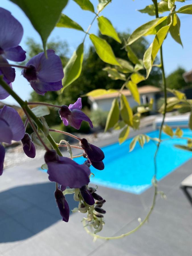 Les Rives Des Habsbourg Aparthotel Ensisheim Exterior foto