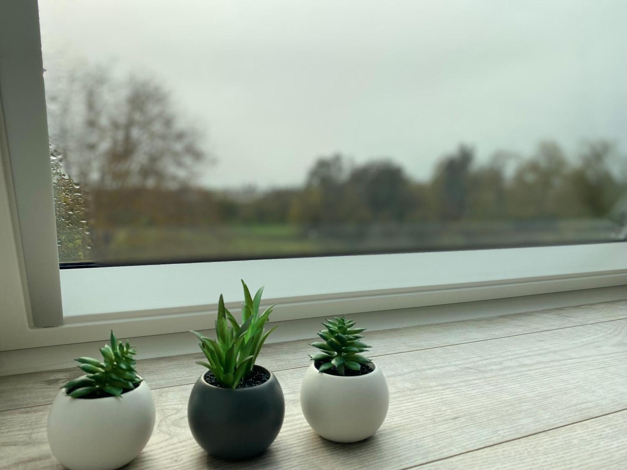 Les Rives Des Habsbourg Aparthotel Ensisheim Exterior foto