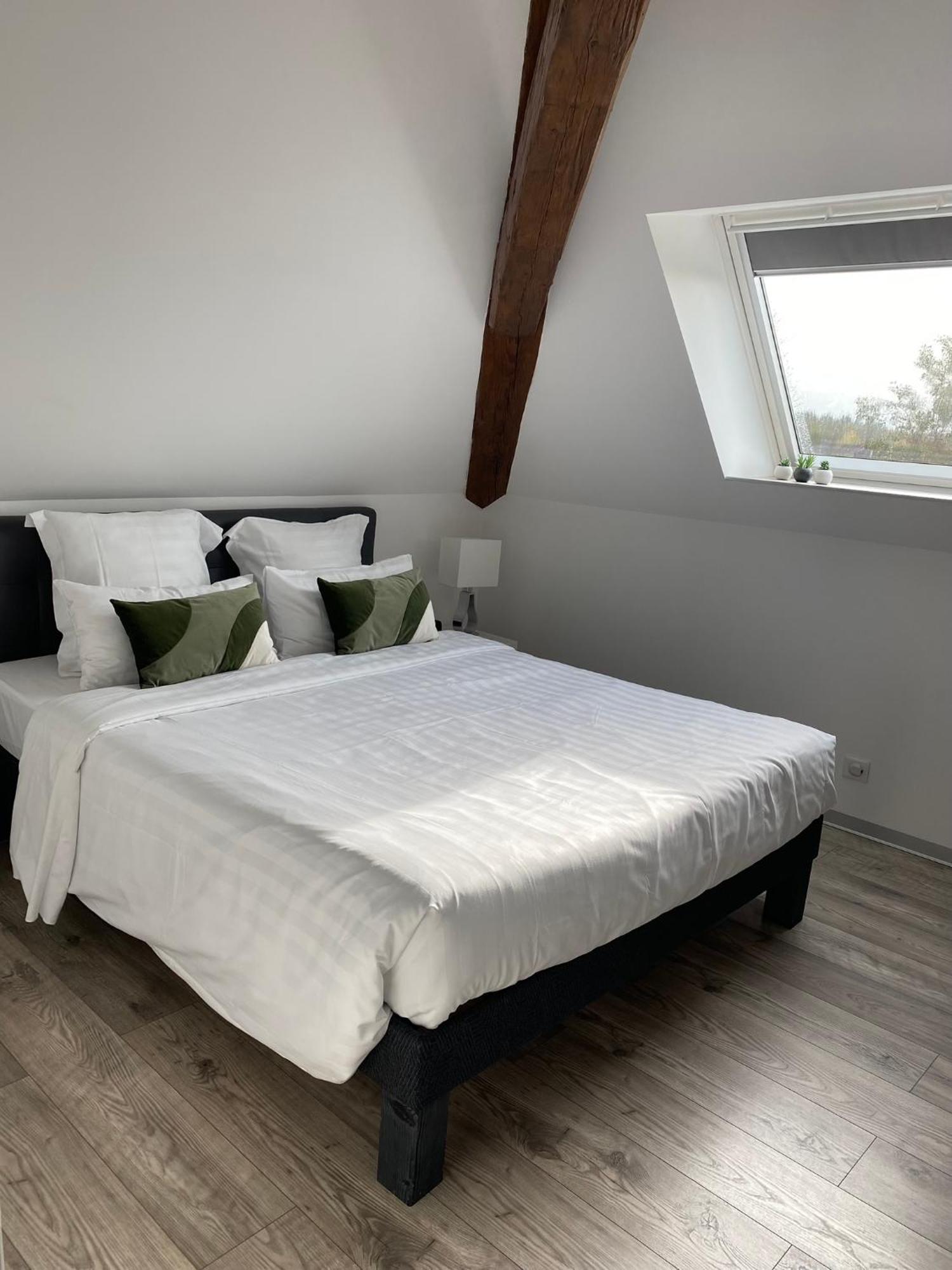 Les Rives Des Habsbourg Aparthotel Ensisheim Exterior foto